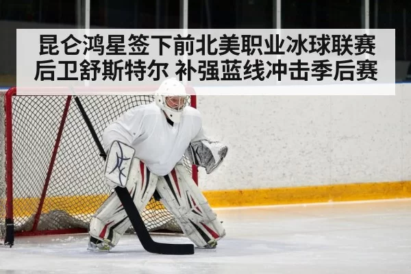 昆仑鸿星签下前北美职业冰球联赛后卫舒斯特尔 补强蓝线冲击季后赛